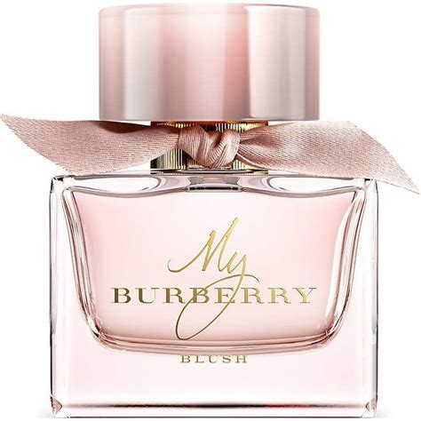 burberry parfum damen blush|burberry blush perfume 50ml.